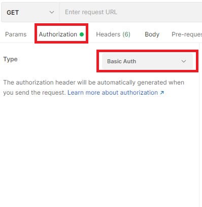 Postman Basic Auth settings