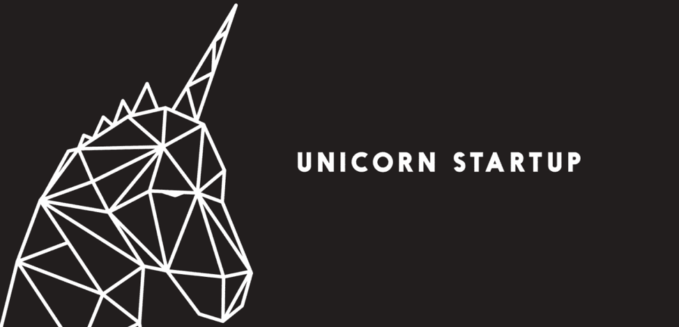 unicorn million dollar business