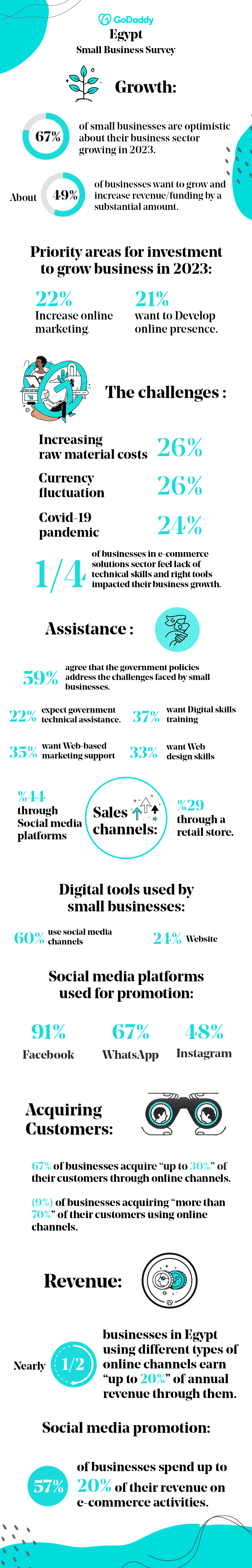 GoDaddy Survey Egypt