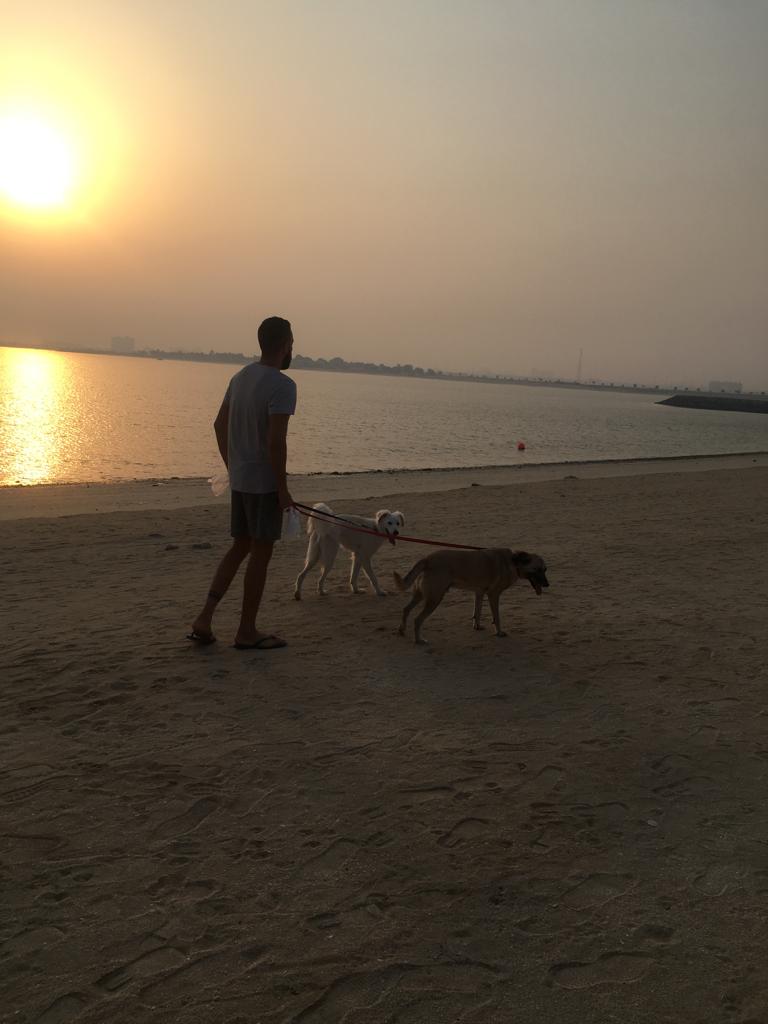 pet lovers mahmoud and two dogs beach