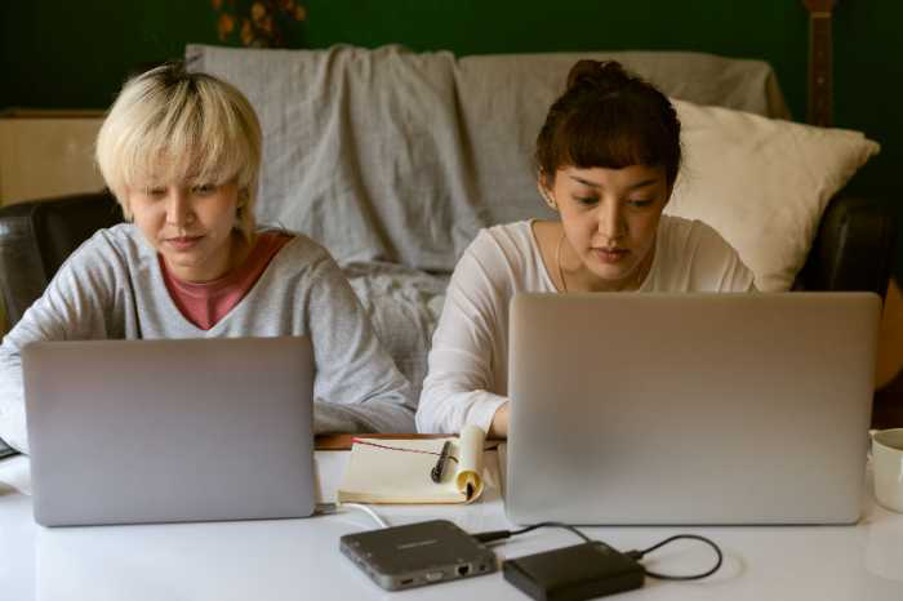 2 ladies working from home