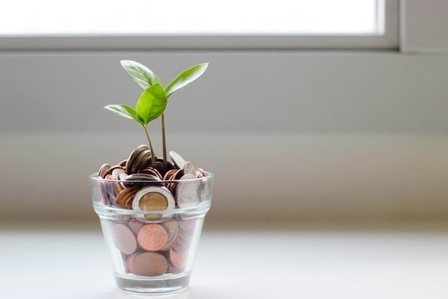 Plants Growing Out of Cup of Coins