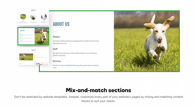 godaddy gocentral website design