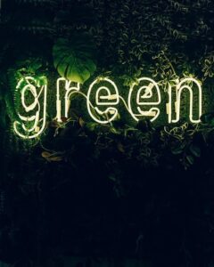 Neon sign spelling green surrounded by plants