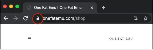 Padlock security symbol in browser bar