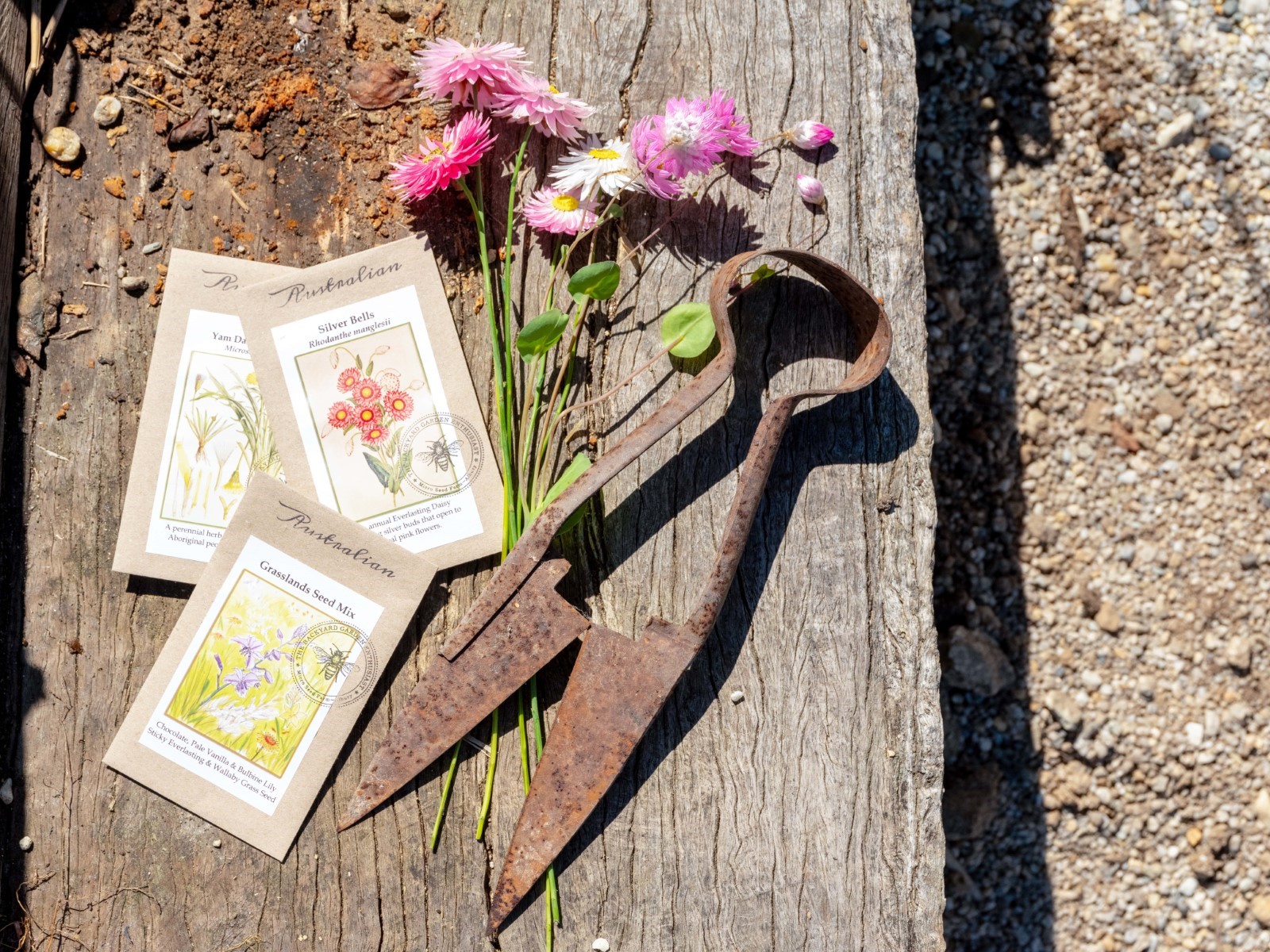 Backyard Garden Enthusiast seed packets