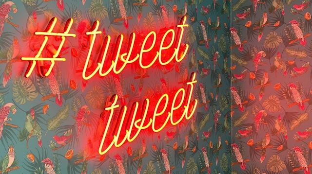 Neon sign reads tweet tweet