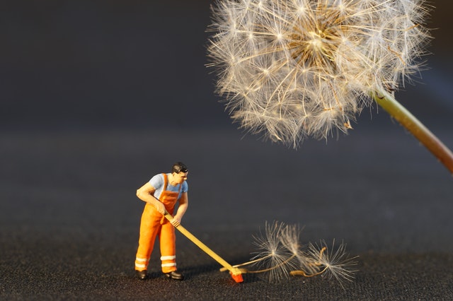 Toy man sweeping up fallen dandelion seeds