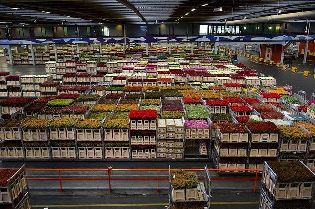 How to Buy a Business Flowers on Pallets