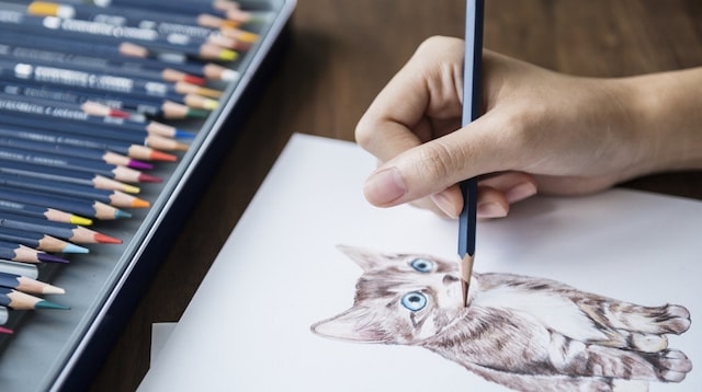 Side Jobs Artist Drawing a Cat