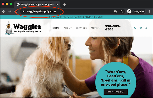 Waggles Pet Supply example of a keyword in a web name