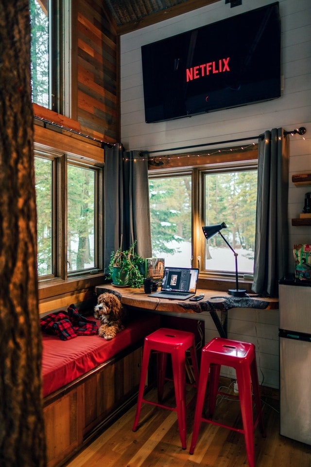 Window seat with dog on top of red cushion