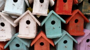 Colourful bird houses