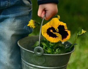 Child holding a bucket with a pansy