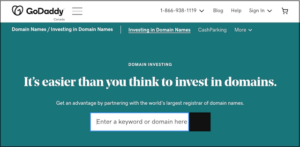 GoDaddy domain investing page