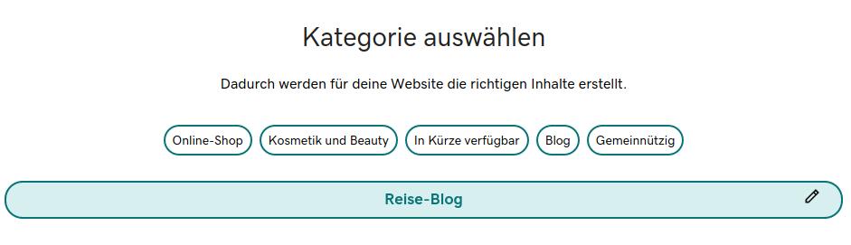 3-website-erstellen-kategorie-auswaehlen