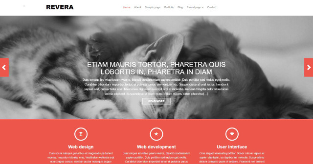 Abbildung - Resonsive WordPress-Theme Revera