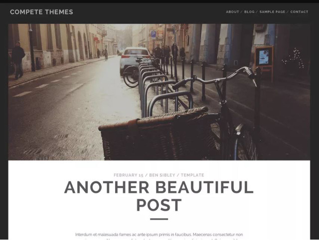 Abbildung - Resonsive WordPress-Theme Tracks