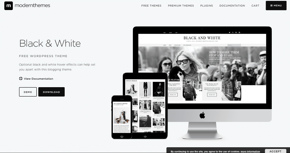 Abbildung - WordPress-Blog-Theme - Black-and-White