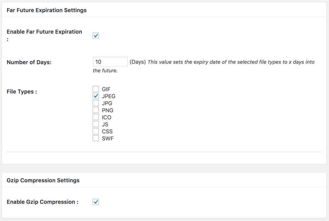 Menú de opciones del plugin Far Future Expiry Header