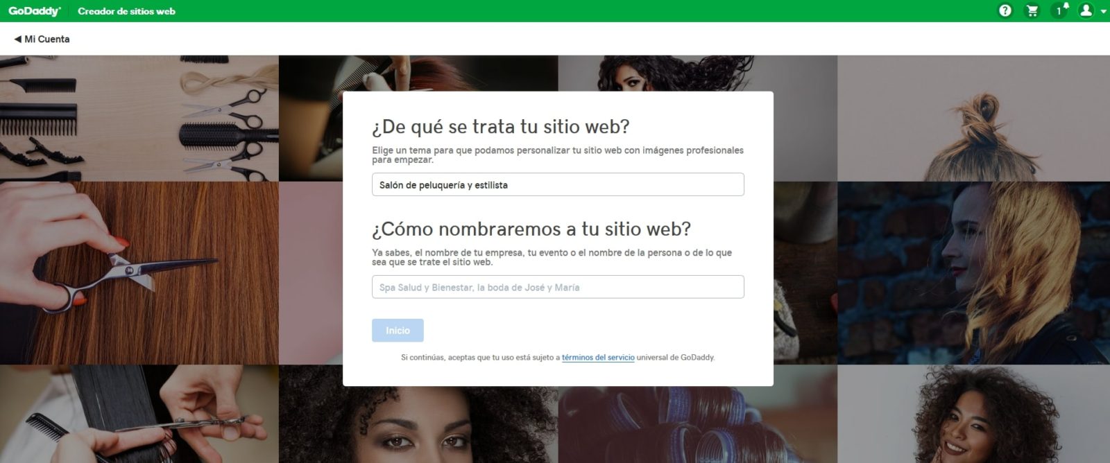 Seleccionar sector de actividad en el Creador de sitios web