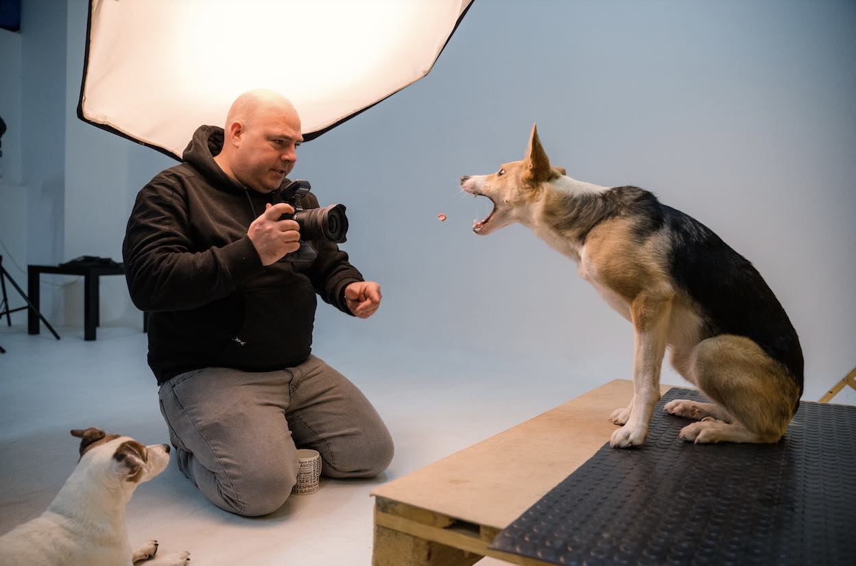 Entrevista El Fotógrafo de Perros