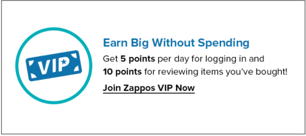 Zappos Customer Review Incentive