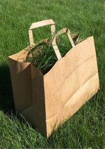 Green Marketing Paper Bag