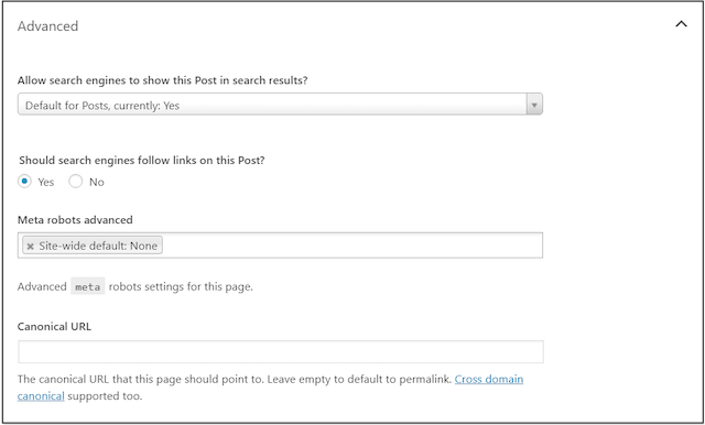 SEO Techniques Yoast Advanced Section