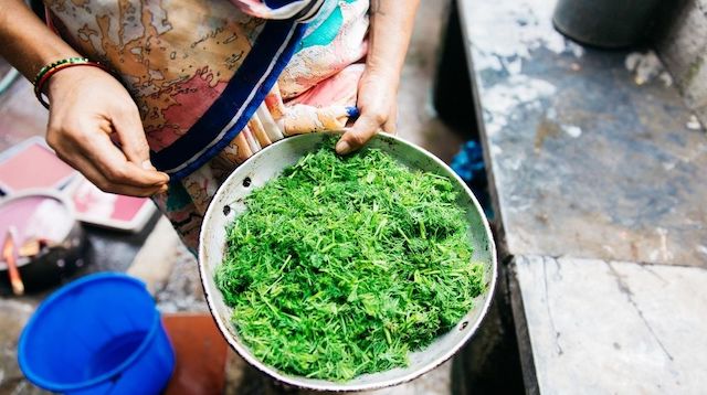 Woman Holding Bowl of Cut Greens