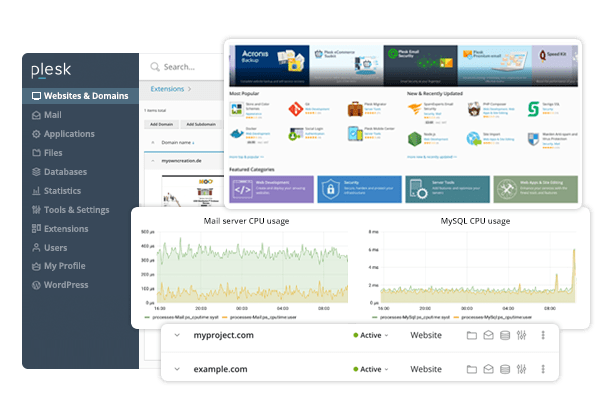 Example of Plesk dashboard