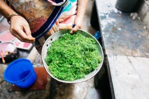 Female worker holding a bowl of greens