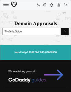 GoDaddy domain appraisal tool