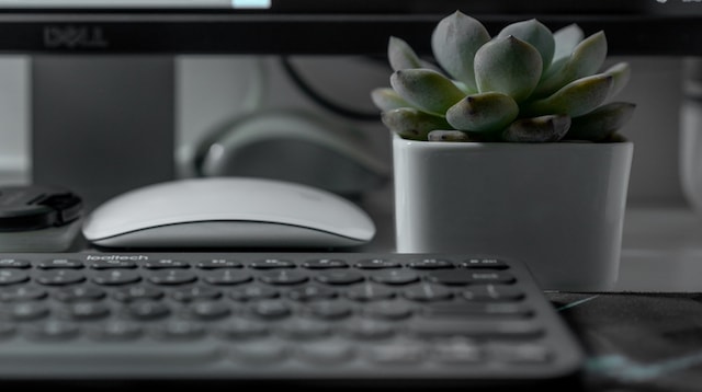 How to Make a Blog Keyboard with Cactus