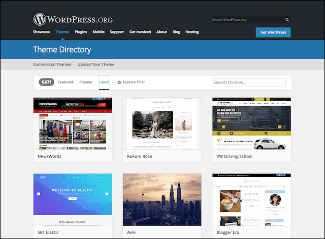 How to Make a WordPress Website Themes