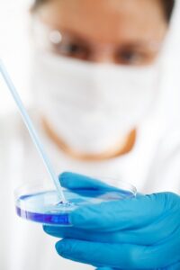 Lab worker adding something to a petri dish