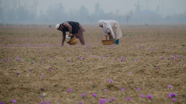 Manufacturing Business Ideas Organic Farmers in Field