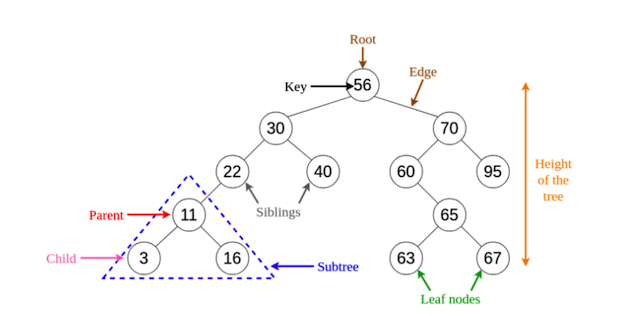 Tree basic data structure