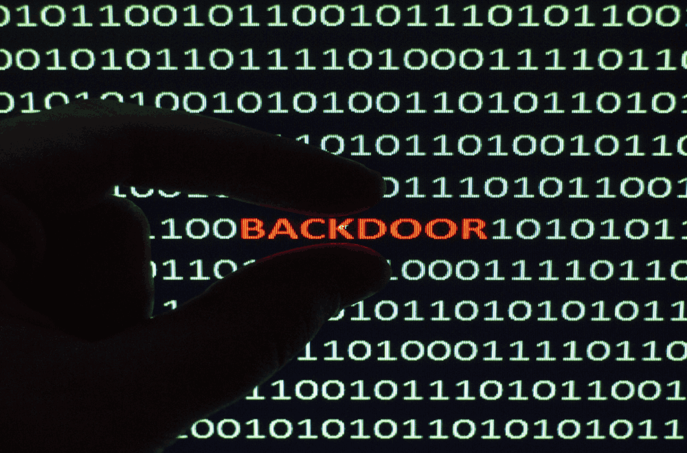 que es backdoor