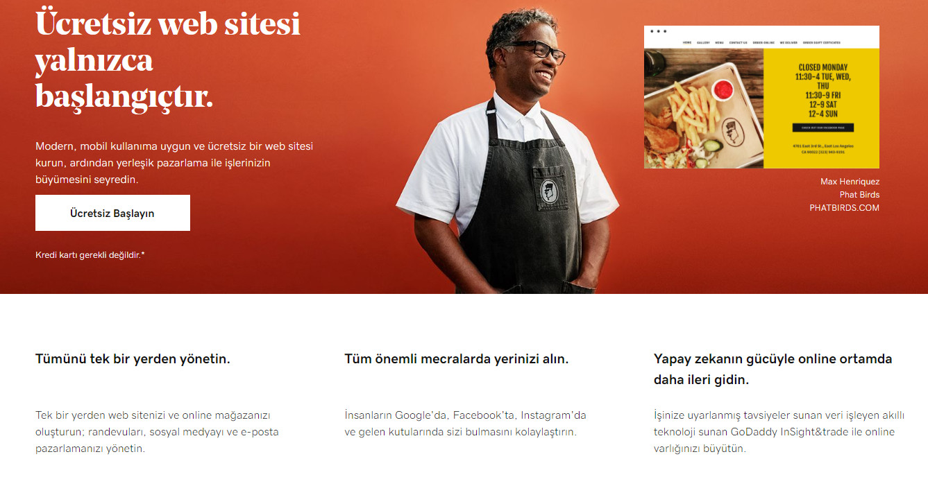 landing page nedir godaddy hazır web sitesi eylem çağrısı örneği