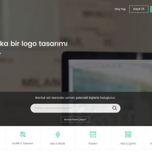 web sitesi tasarimi bionluk.com ana sayfa yapisi