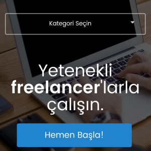 web sitesi tasarimi bionluk mobil sitesi