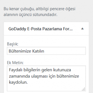 wordpress hizli baslangic sihirbazin eposta pazarlamasi kayit formu