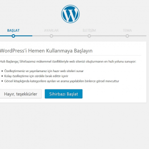 wordpress-hizli-baslangic-sihirbazi-baslatma-ekranin-goruntusu-300x300