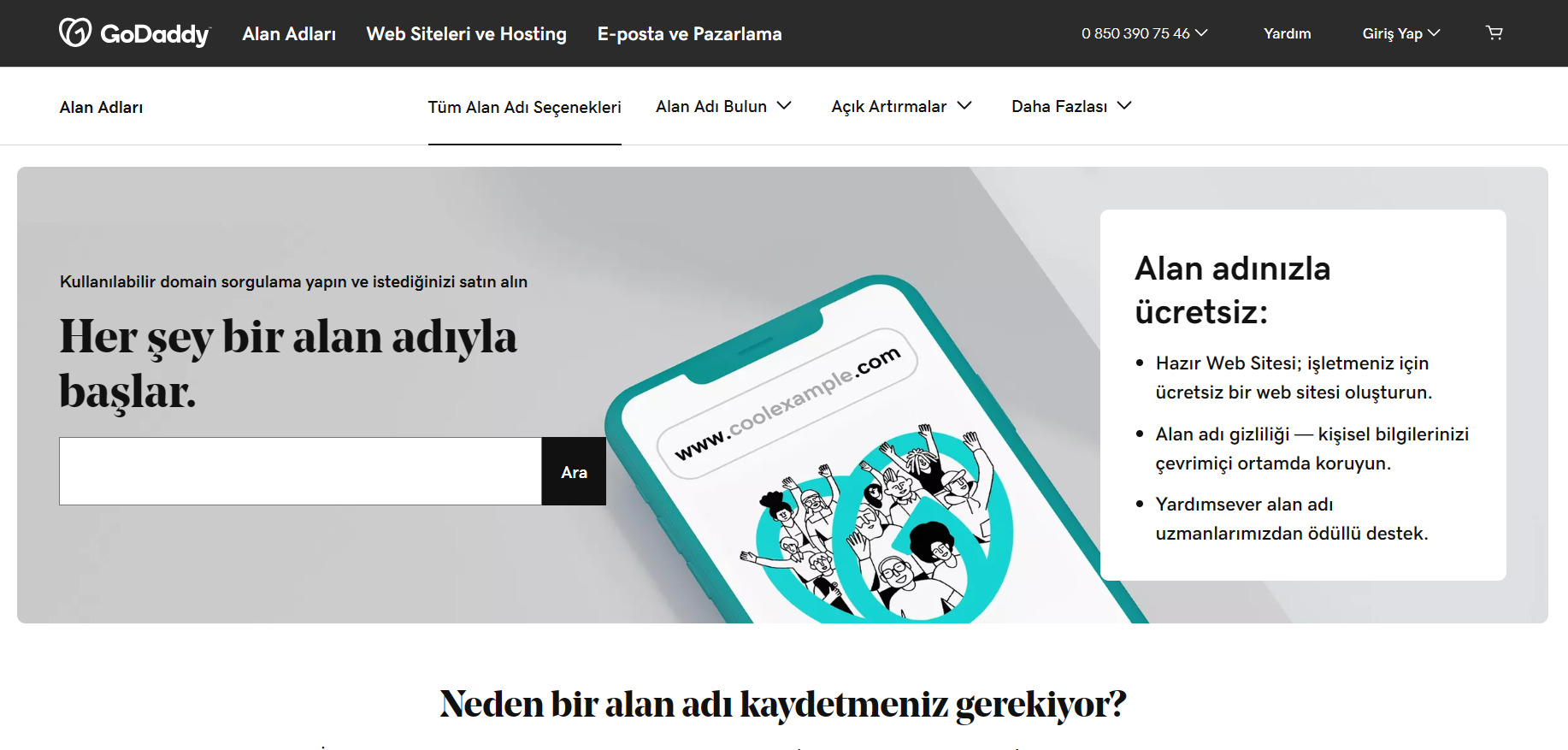 GoDaddy Alan Adı arama çubuğu