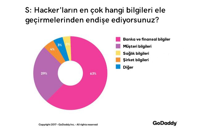 web sitesi güvenlik ele geçmesinden endişe edilen bilgiler grafik