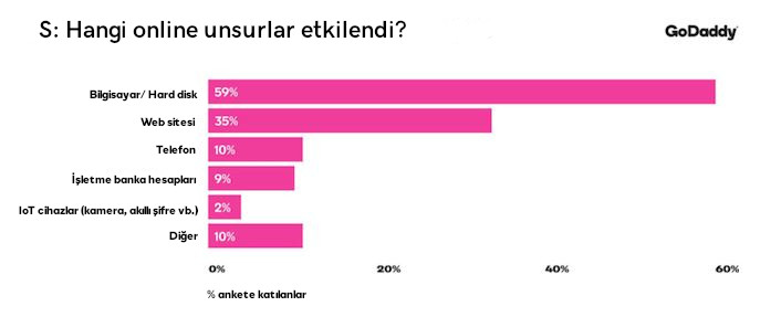 web sitesi güvenlik etkilenen unsurlar grafik