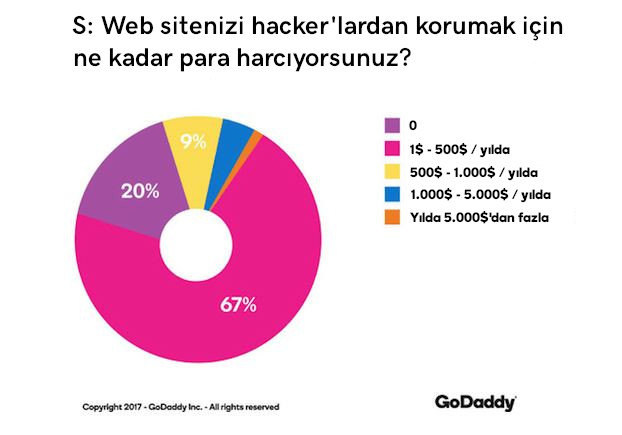 web sitesi güvenlik web sitesi koruması harcamaları grafik