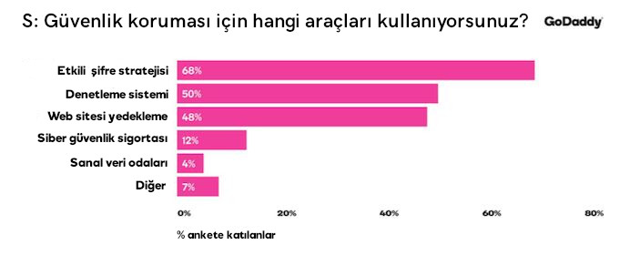 web sitesi güvenlik güvenlik koruma araçları grafik