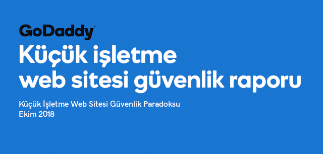 web sitesi güvenlik raporu paradoks